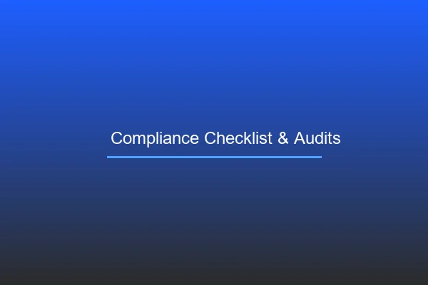 Auditor checking compliance standards against records